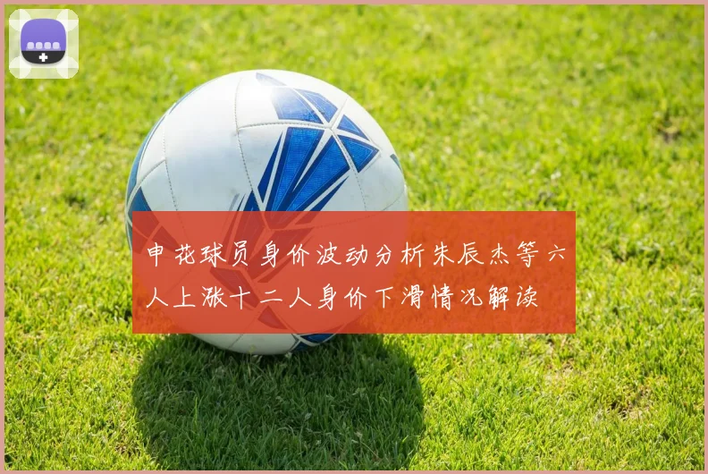申花球员身价波动分析朱辰杰等六人上涨十二人身价下滑情况解读