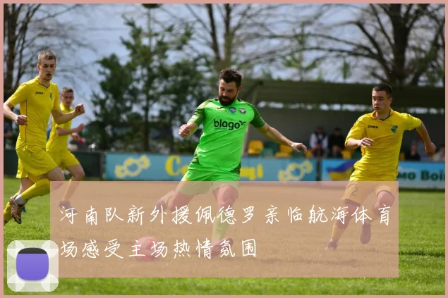 河南队新外援佩德罗亲临航海体育场感受主场热情氛围